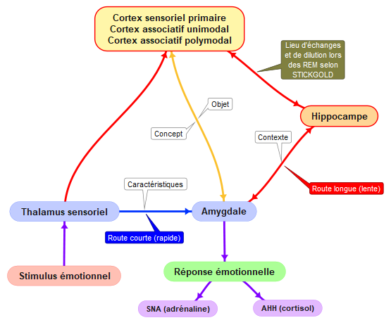 Schema-emdr-1