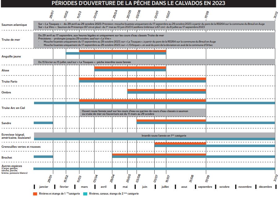 Date-d-ouverture