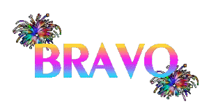 Gif-bravo-fc3a9licitations-83