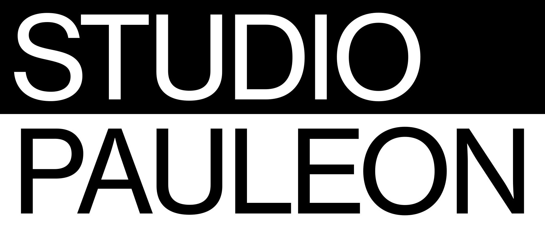 Logovecto studio pauleon la rochelle