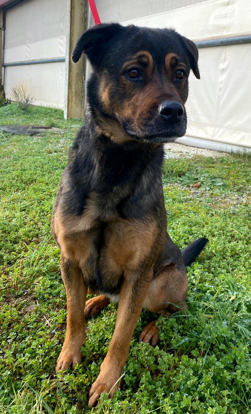 Kaya