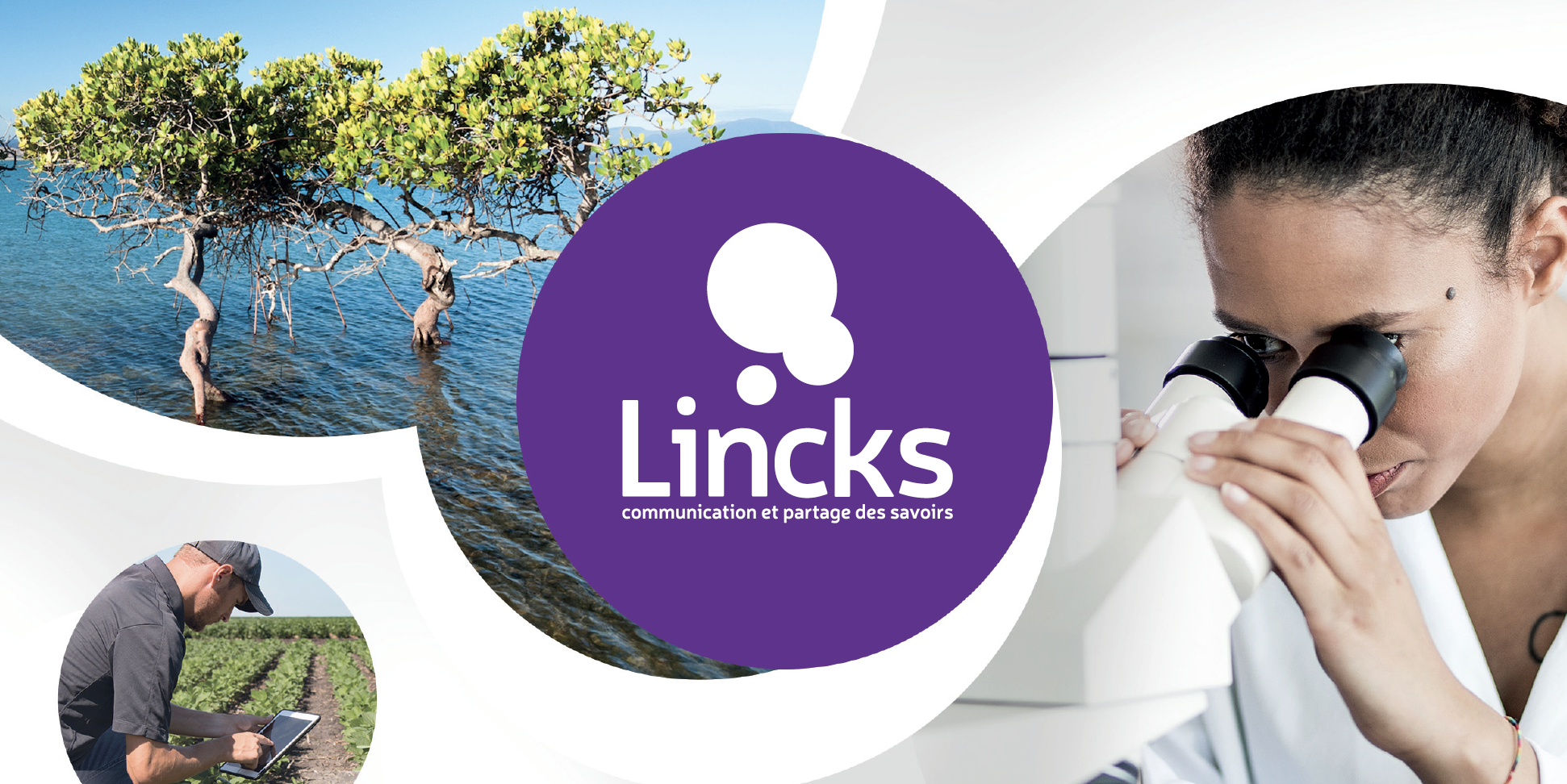 Banniere lincks