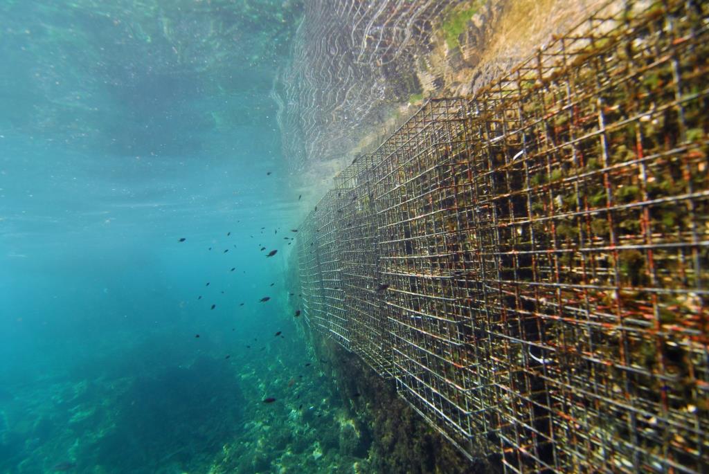 Biohut quai remy dubas ecocean 2