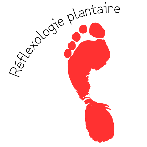 Reflexologie plantaire  1  removebg preview