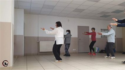 Art martial interne stage qi gong tai chi   mars 2023 ame