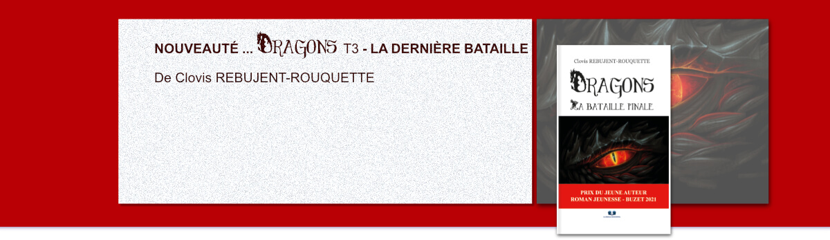 Galerie nouveaute bookenvol final dragons3 comp