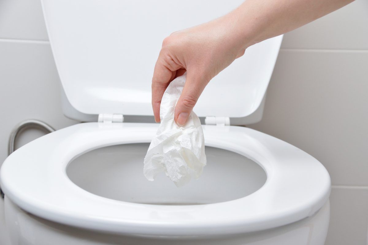 Quel papier toilette utiliser pour un sanibroyeur ?