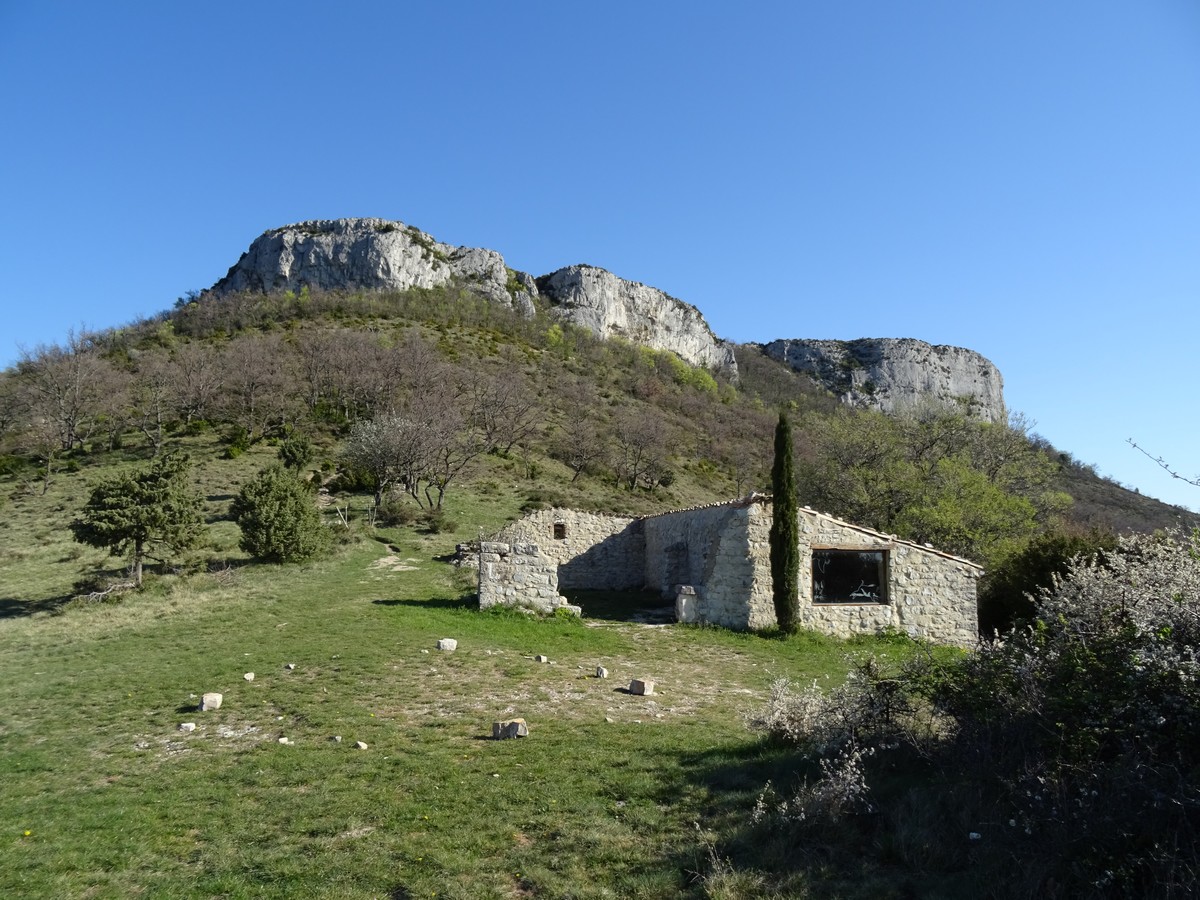 Dent-de-re-photo