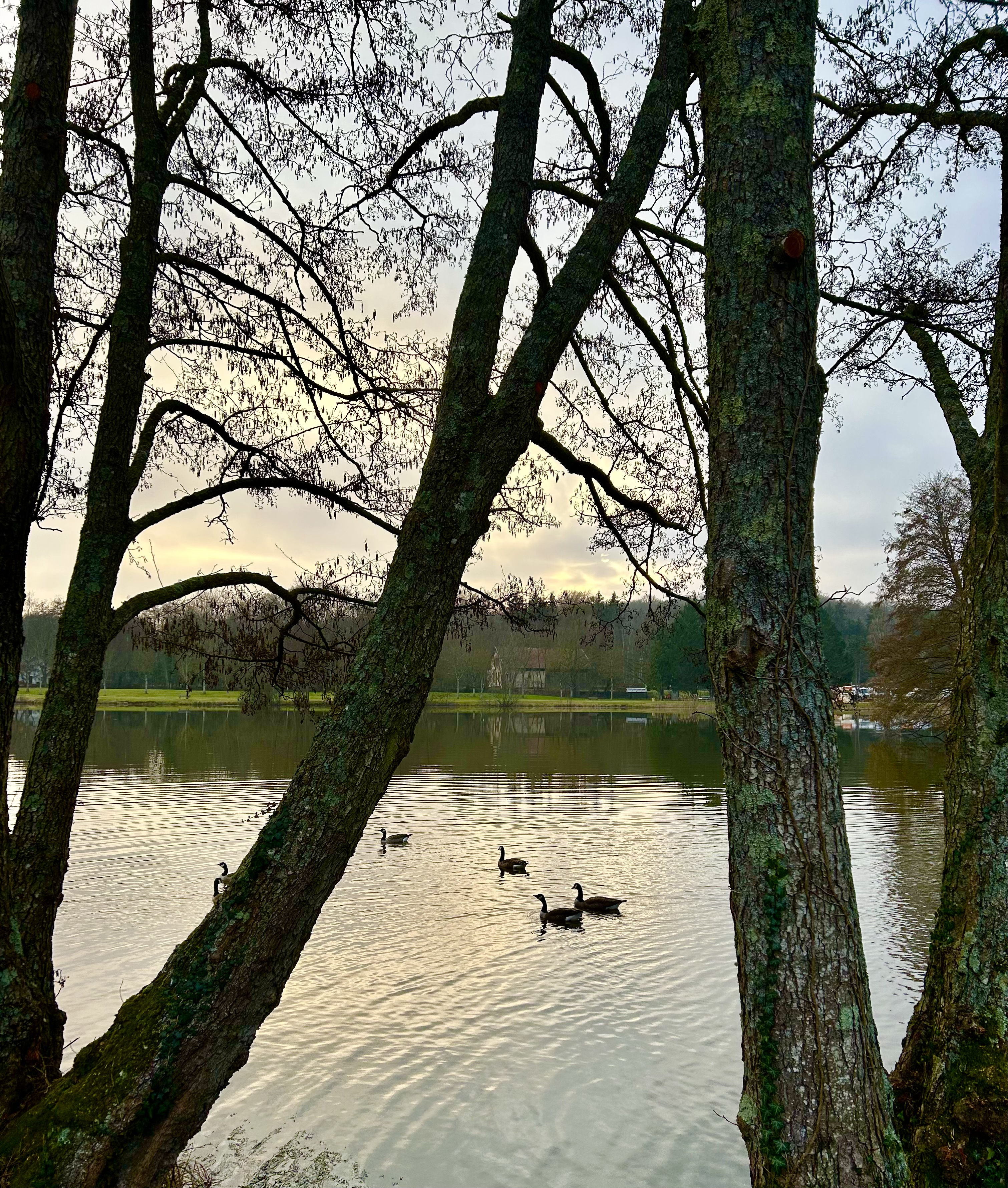 Fin de journee d hiver