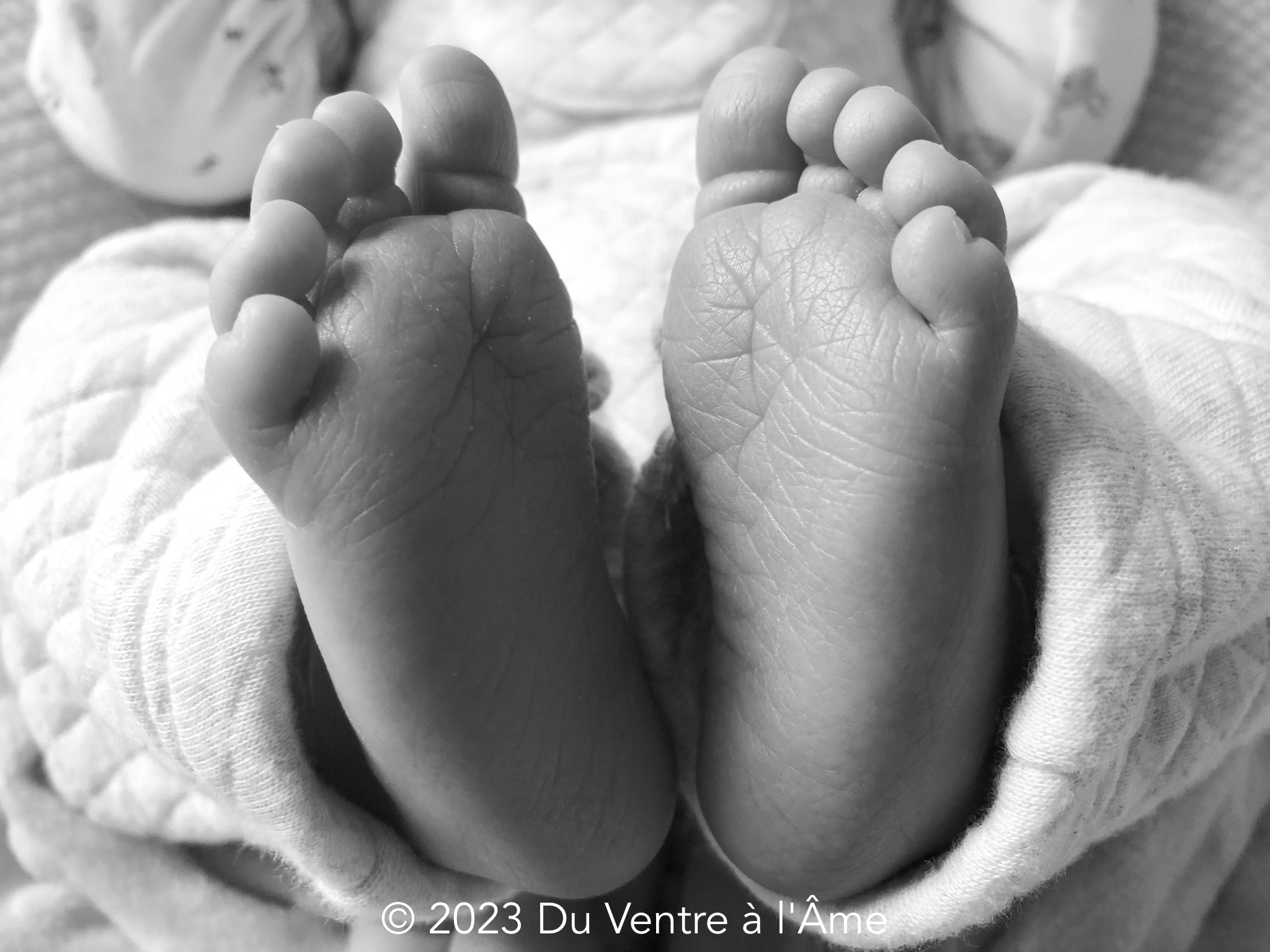 Pieds Alba