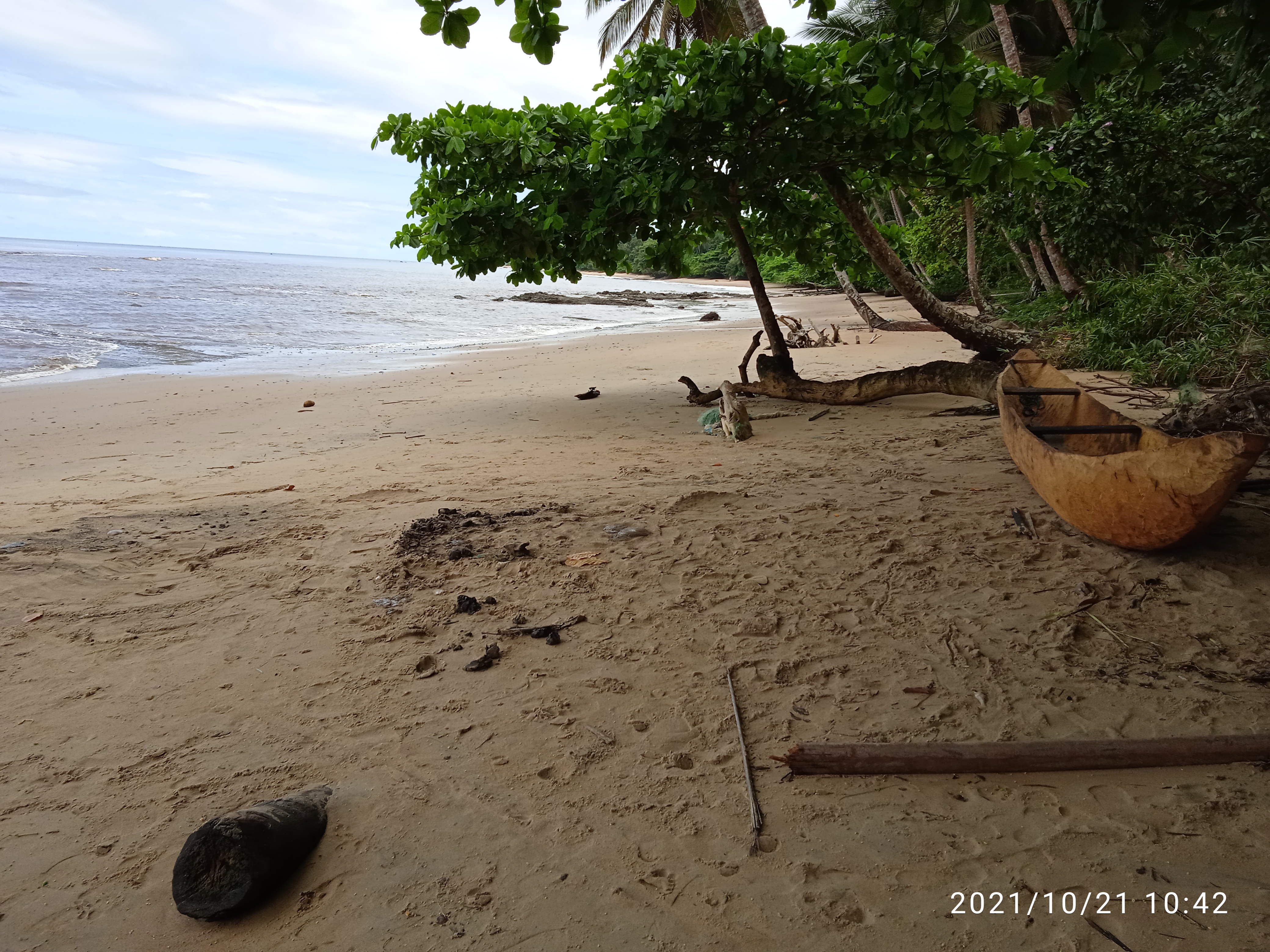 Img 20211021 104238 1