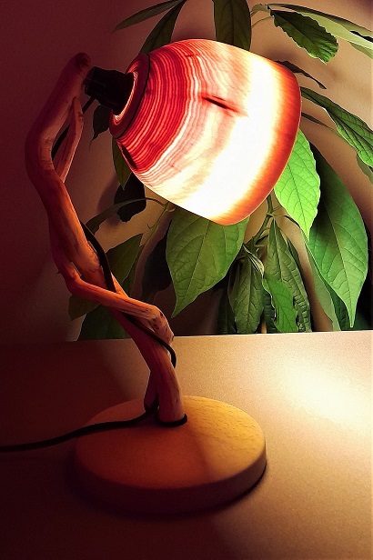 2 lampe de bureau