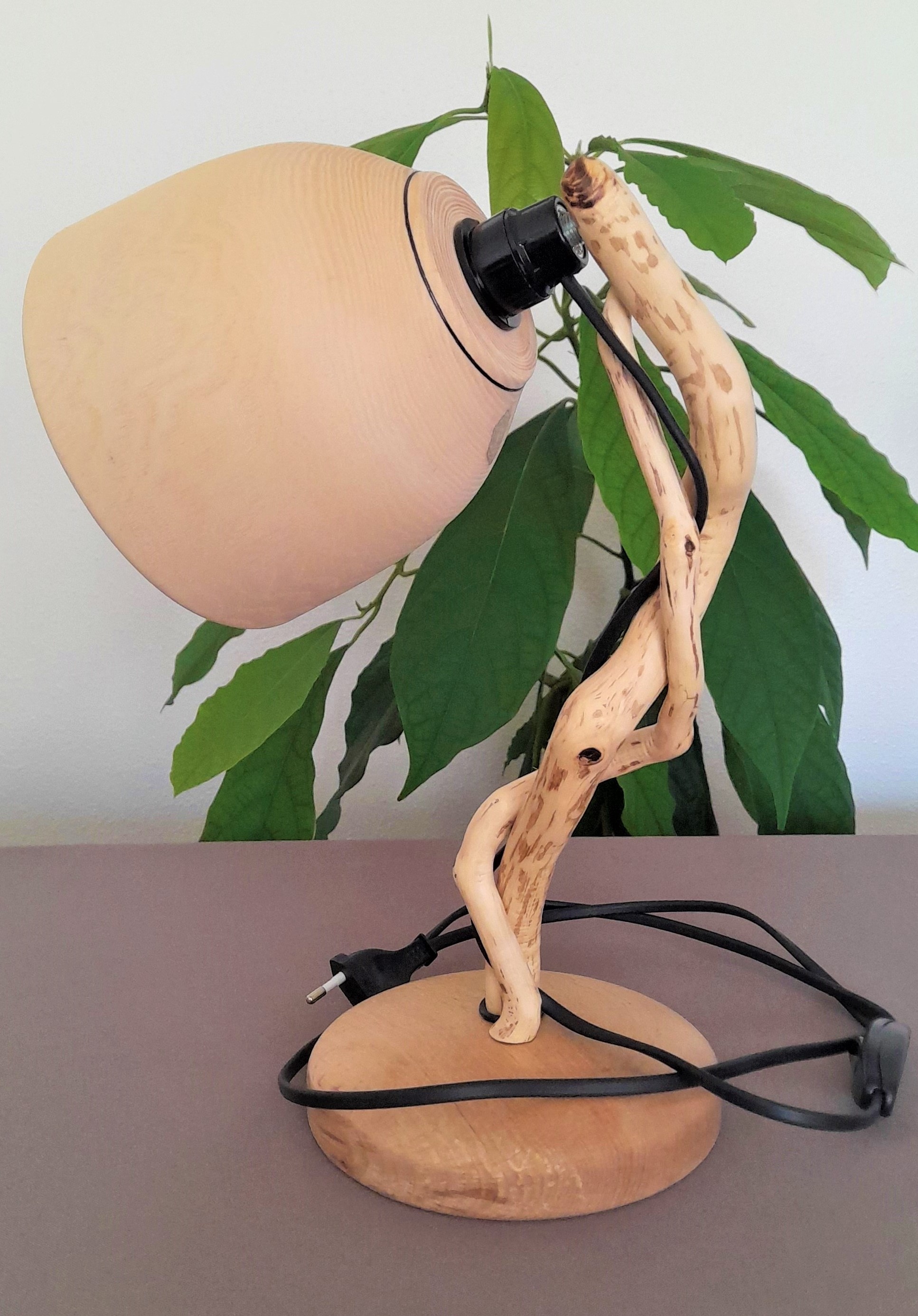 1 lampe de bureau 2 