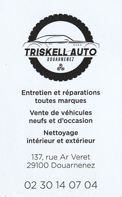 DZUT-triskell-auto