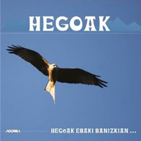 Hego-copie