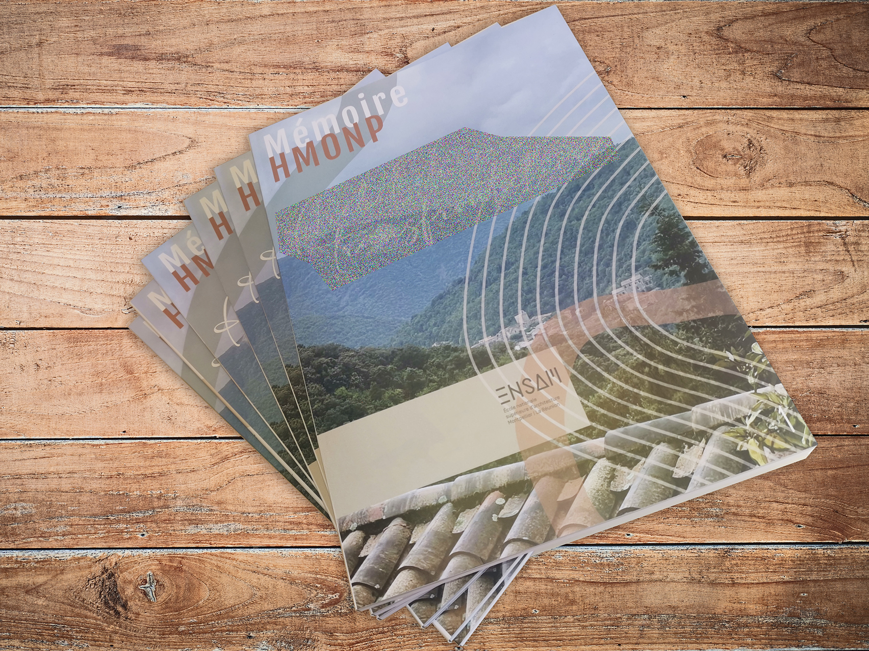 Memoire dcc type livre