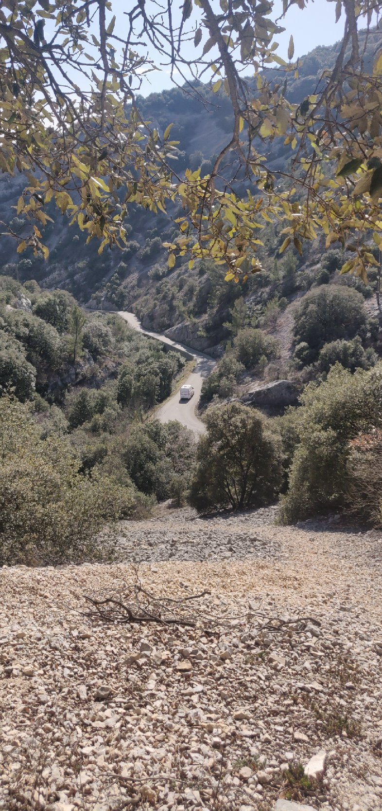 Image0000001 61 