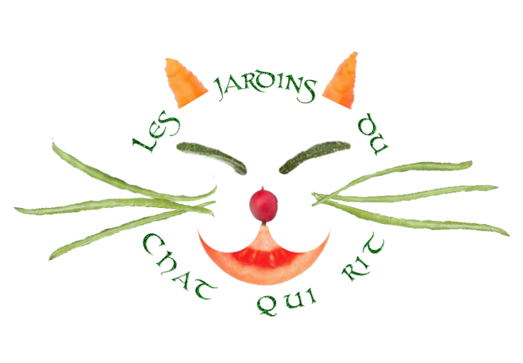 Chat-qui-rit-v2-fond-mi-transparent