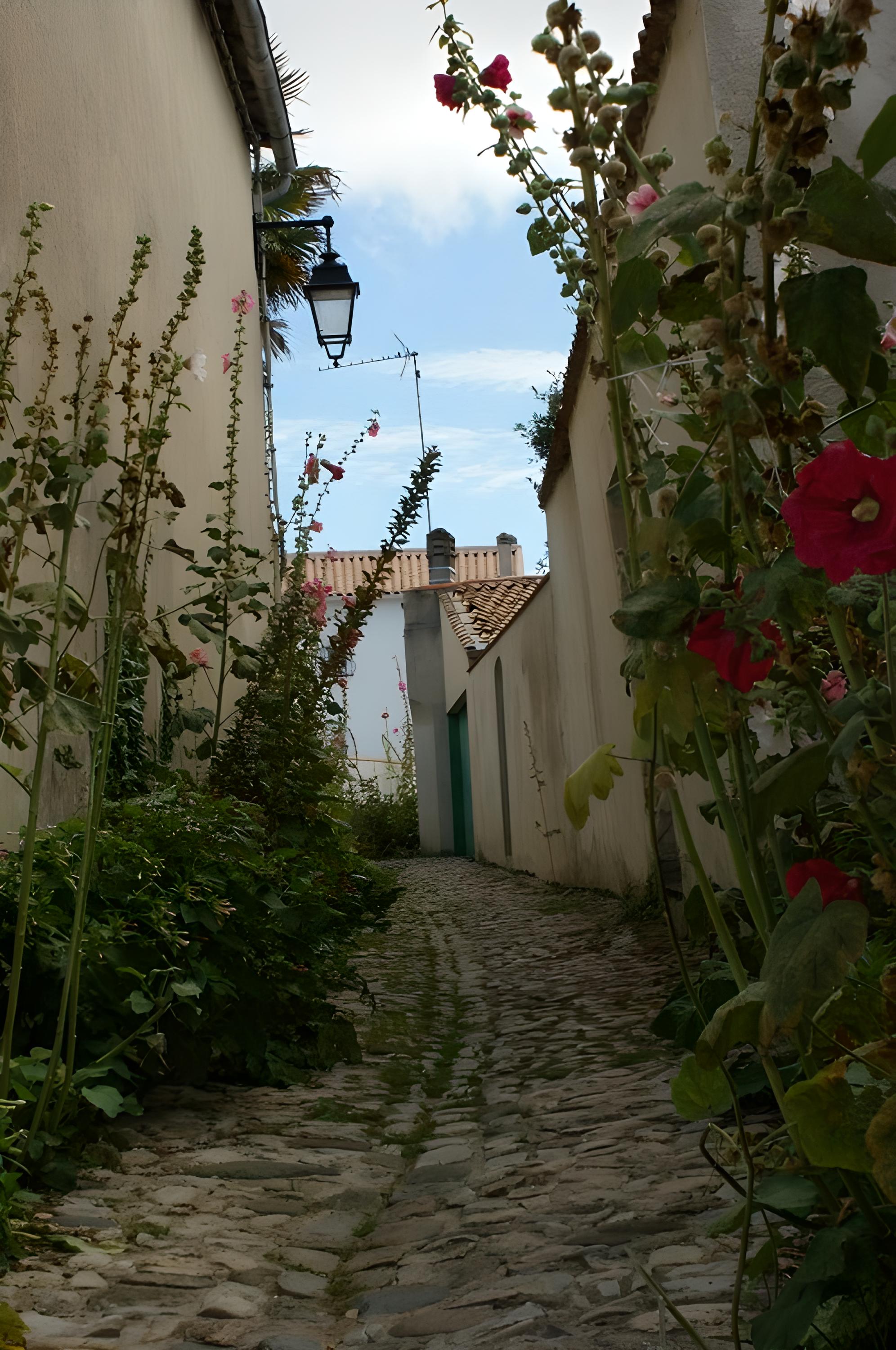 La flotte venelle