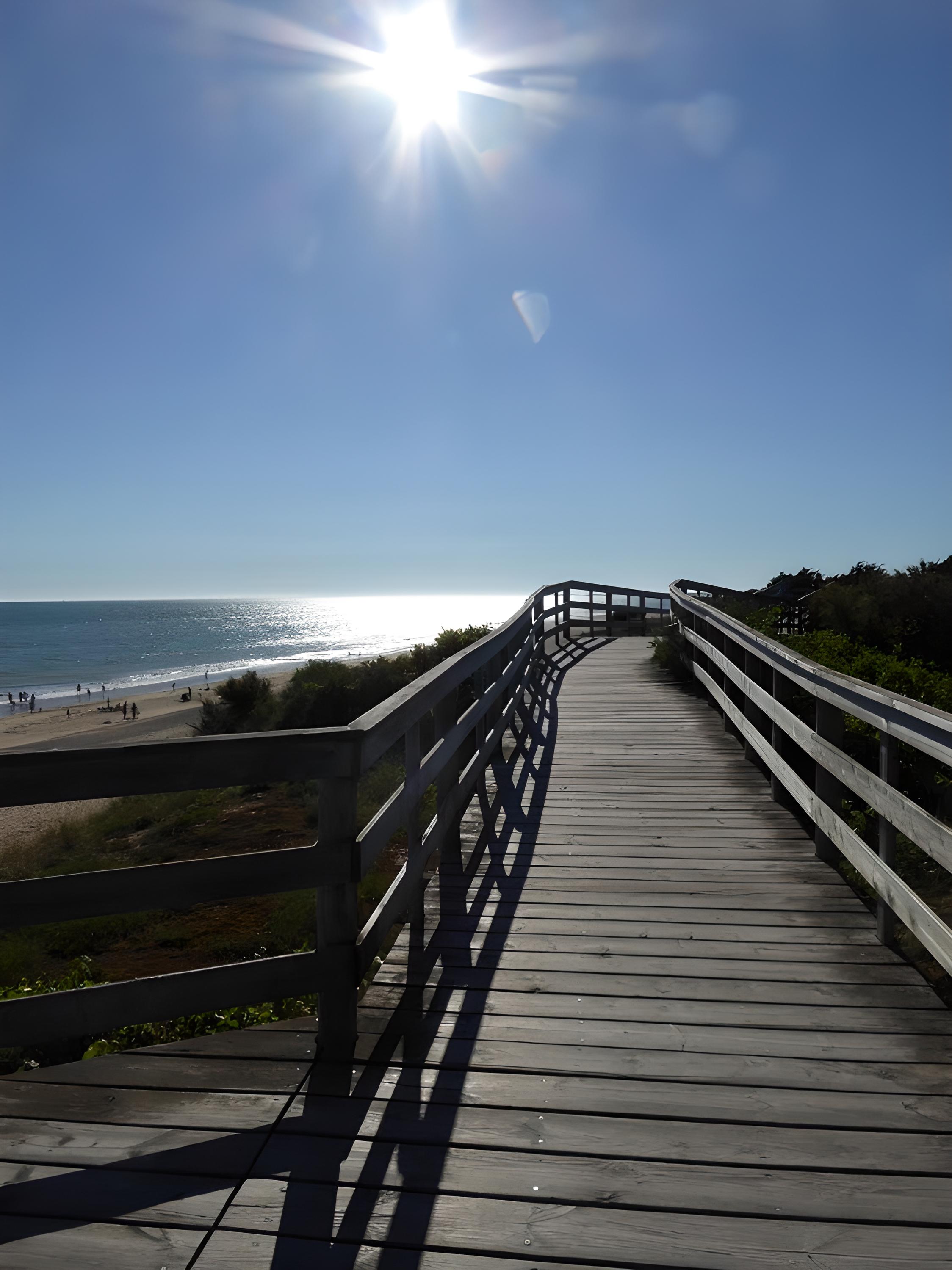 Bois plage