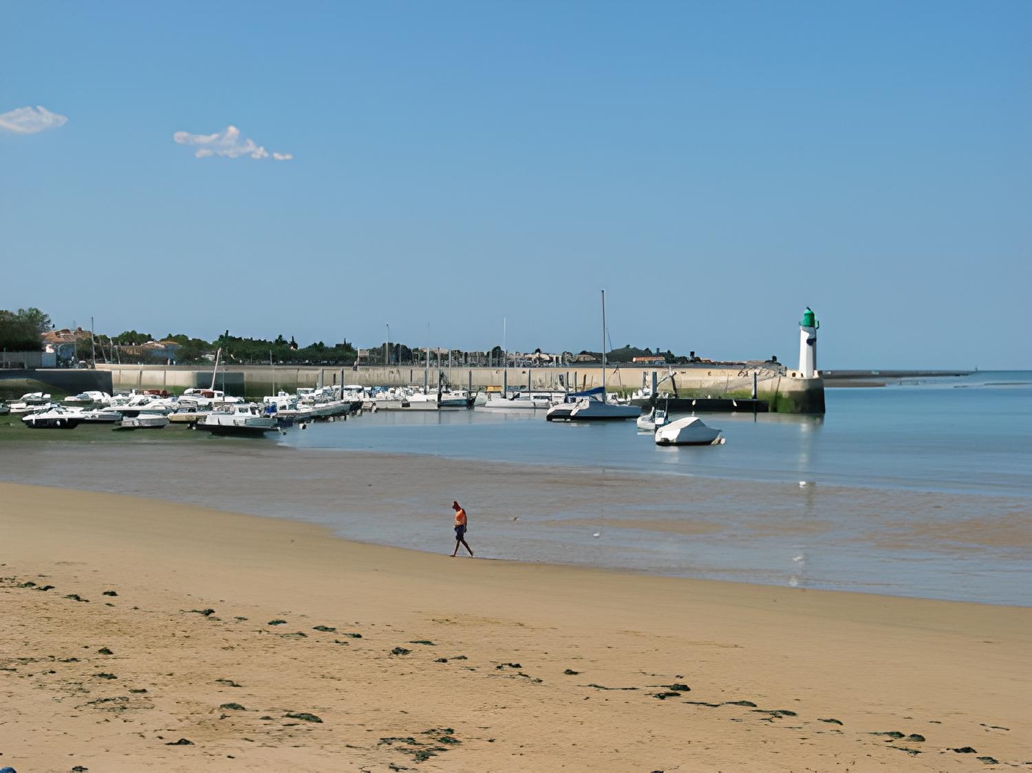 Flotte sable