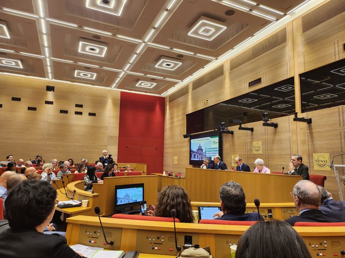 Intervention de D. SCHNAPPER au Senat le 3 mars 2023