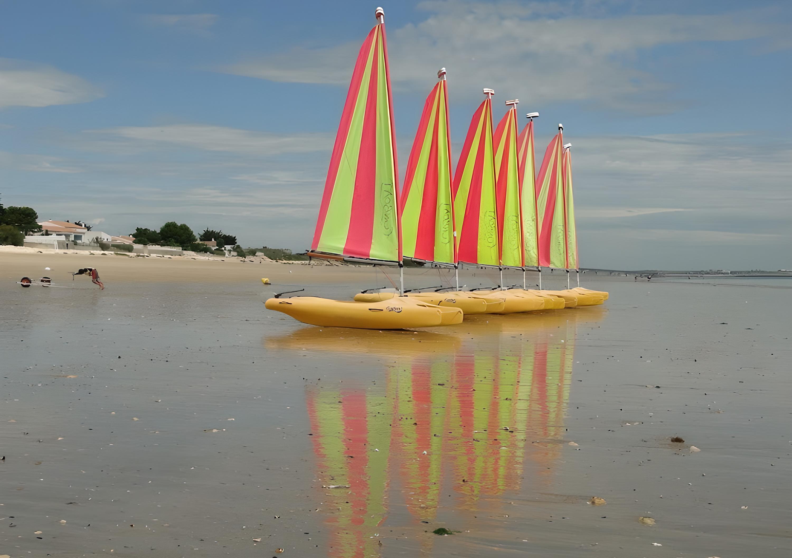 Chauveau jaune