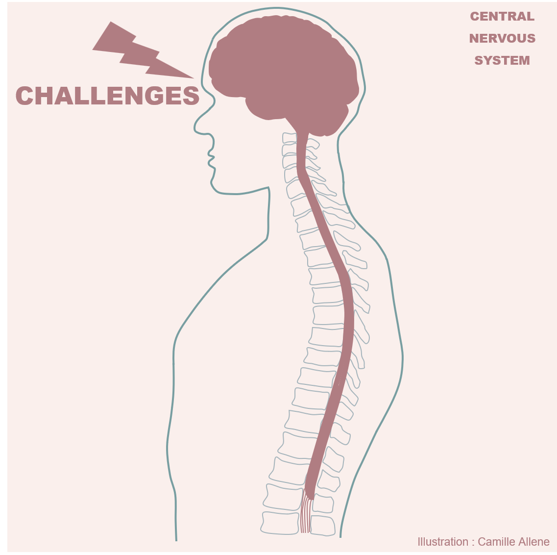 Challenges-CNS