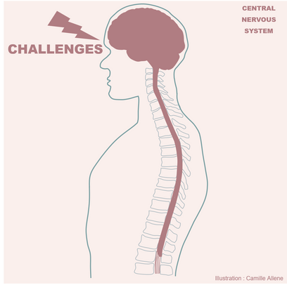 Challenges-CNS