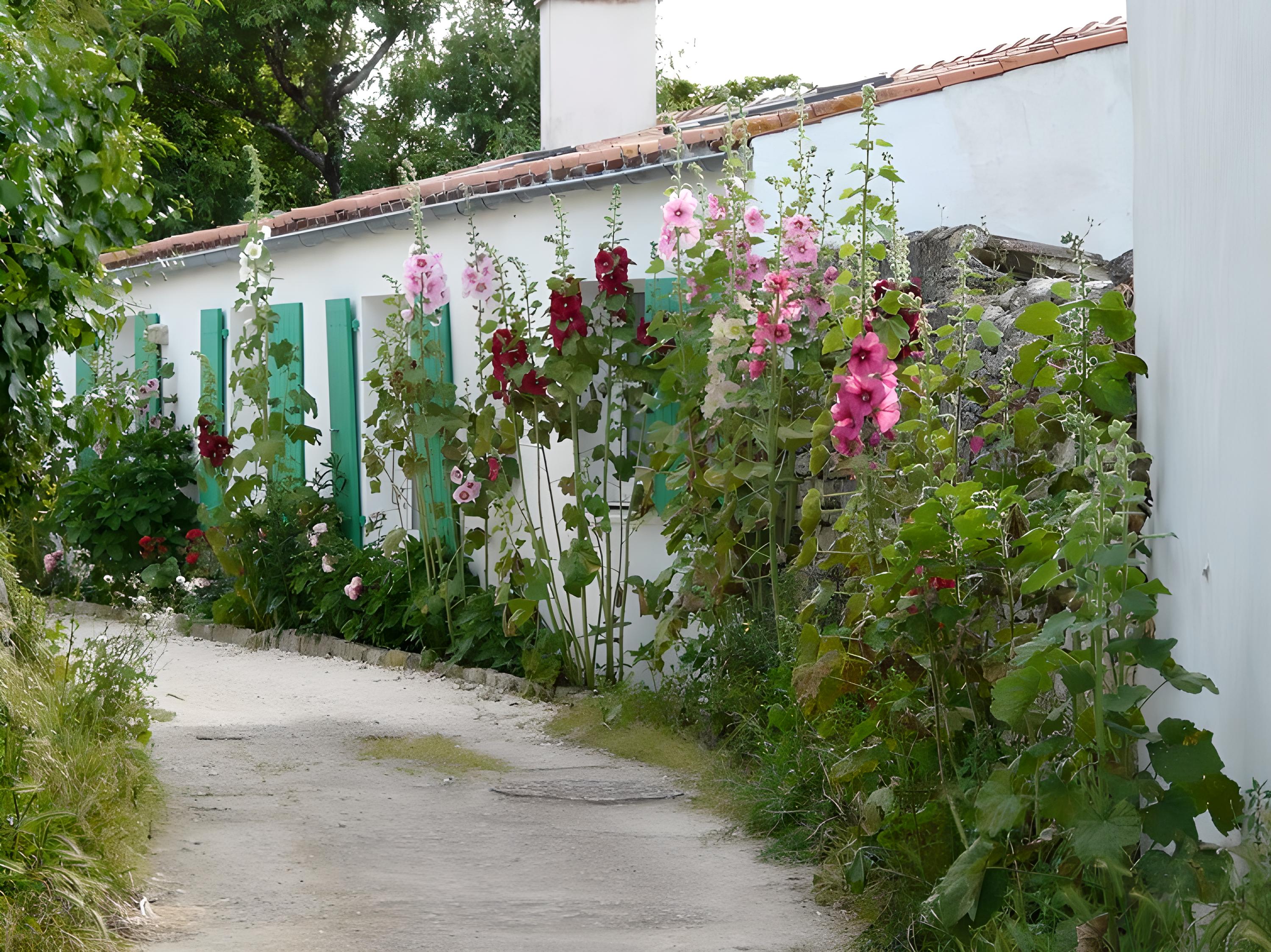 Ste marie ruelle