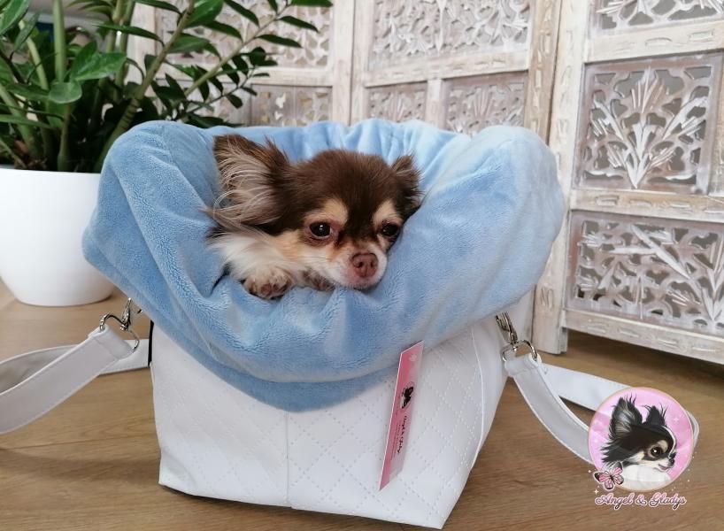 Le Sac Bella et sa housse Baby bleu