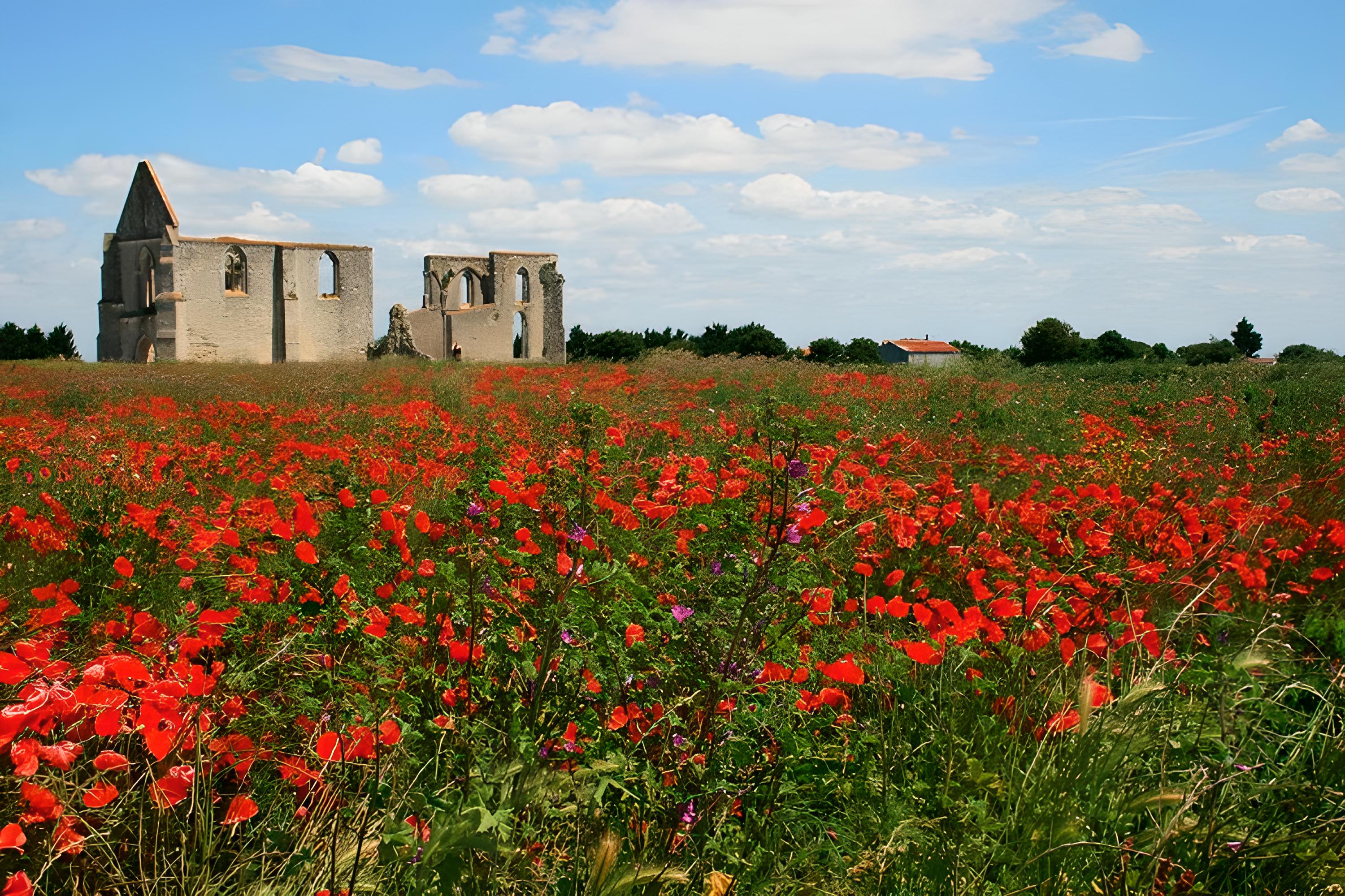 Chateliers rouge