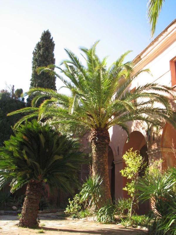 Freres saint jean cloitre couvent corbara29