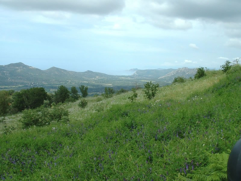 Freres saint jean environs corbara6