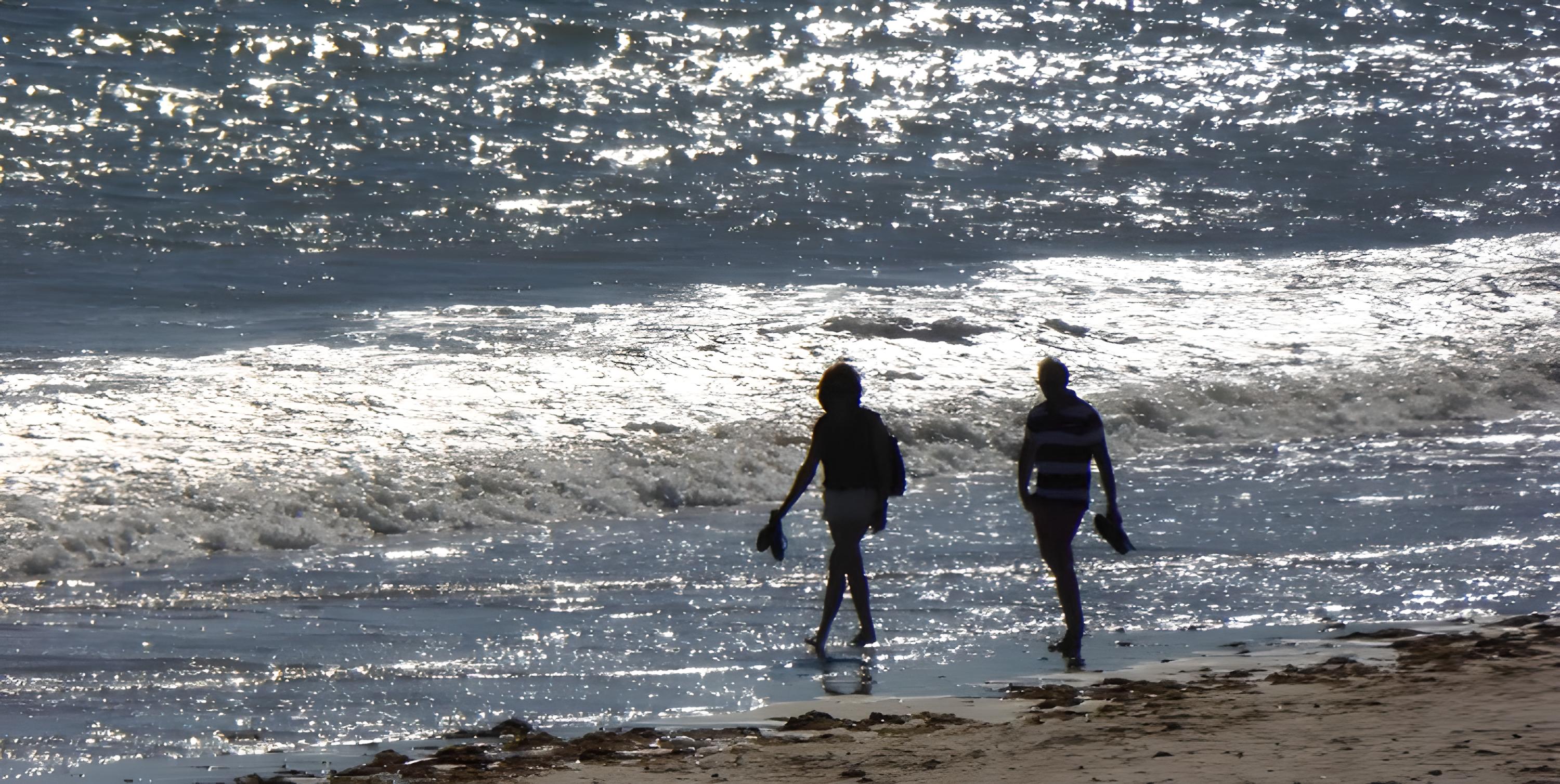 Bois deux