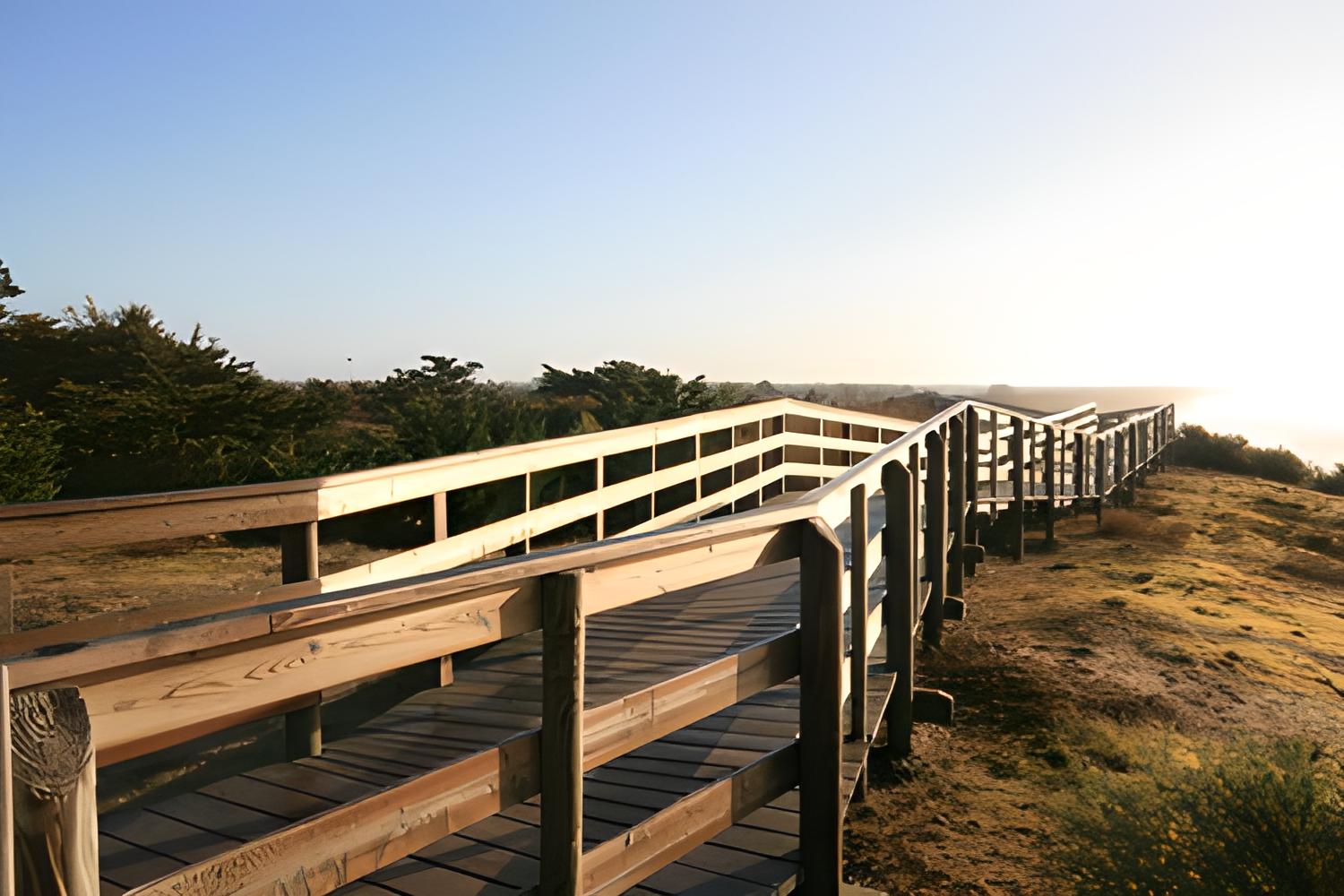 Bois promenade