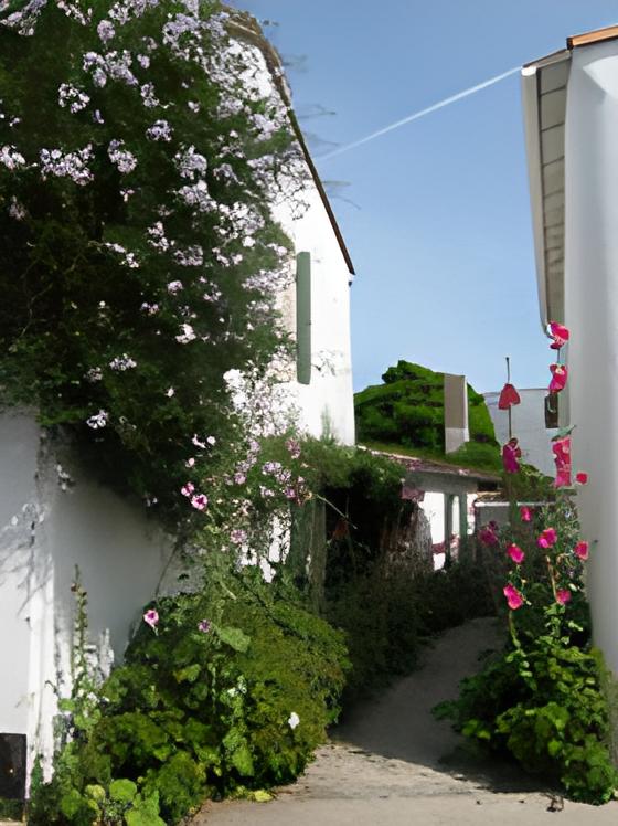 Bois venelle