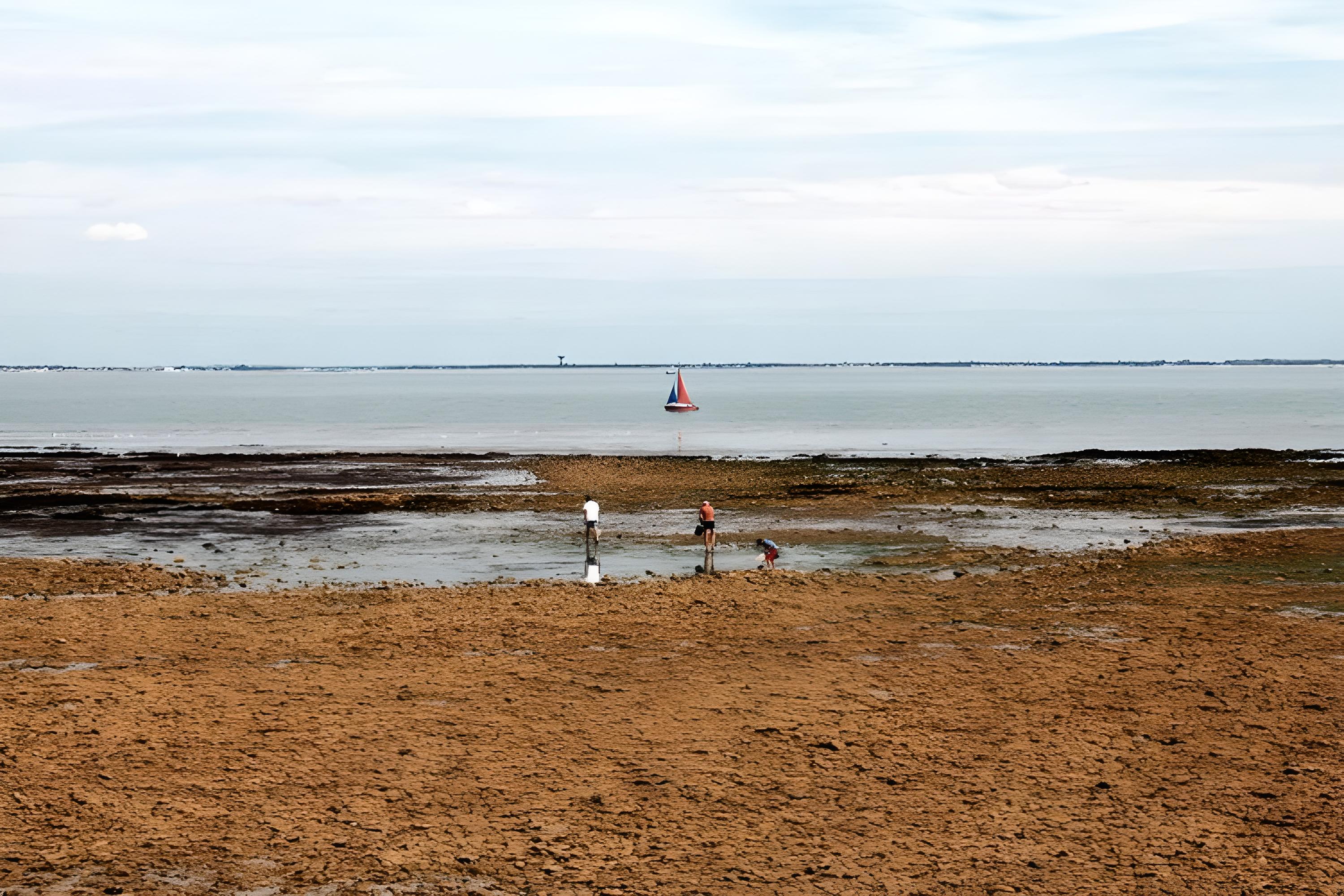 Loix peche