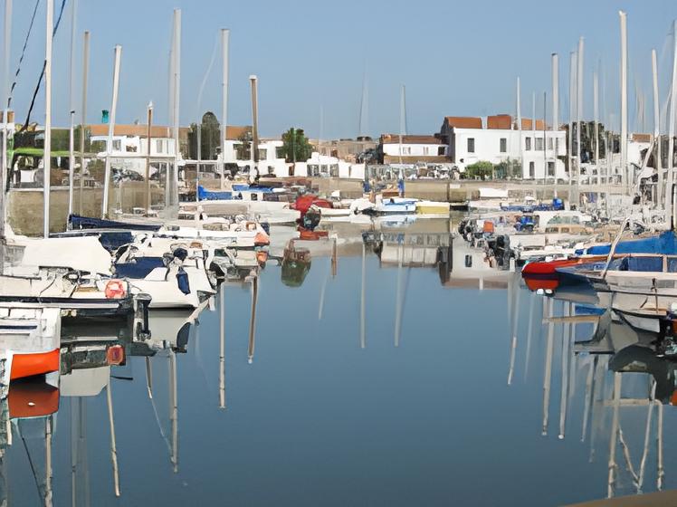 Ars port