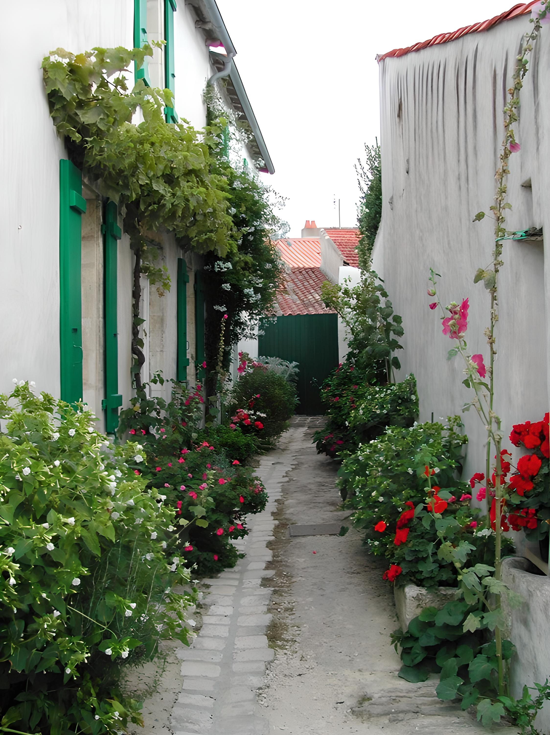 Ars ruelle
