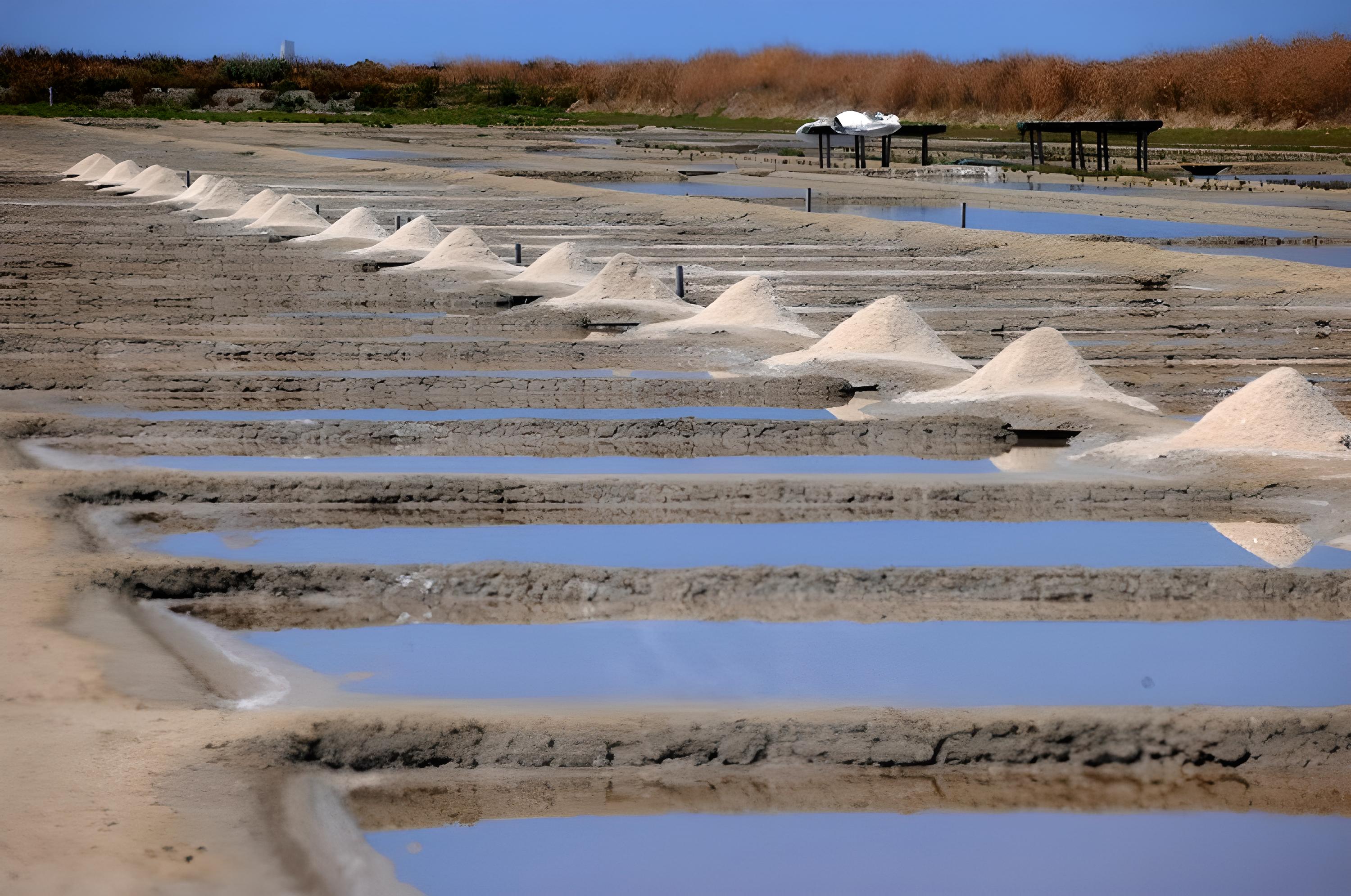 Salants tas