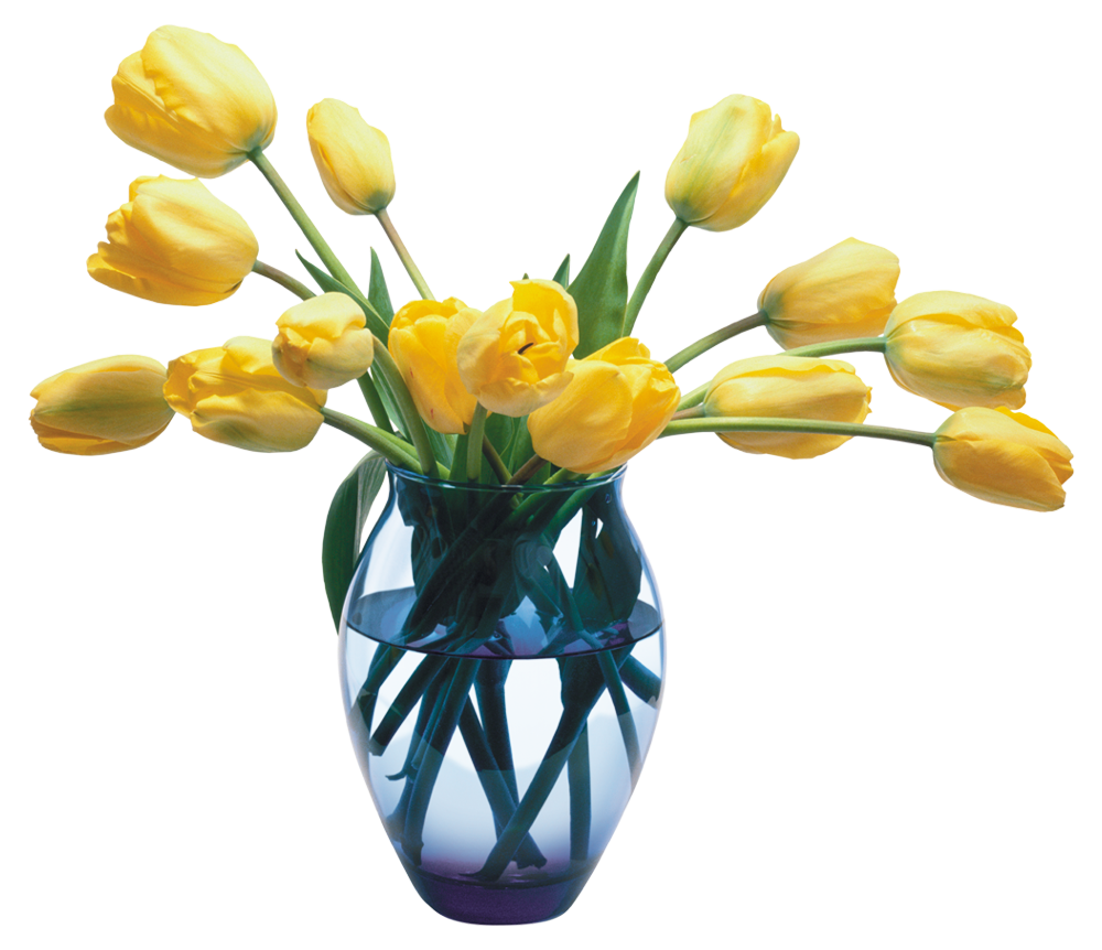 -00-fleurs-100