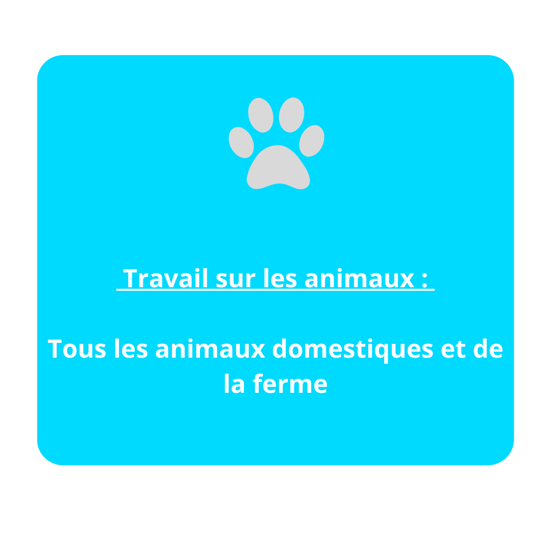 Dominique Theux Lorris magnetisme animaux animal lorris loiret montargis gien orléans 45260