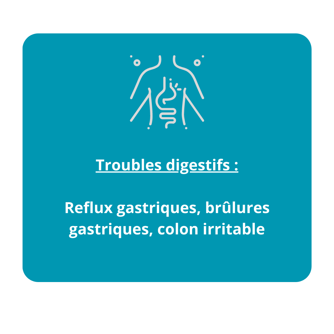 Dominique Theux Lorris magnetisme digestion lorris loiret montargis gien orléans 45260