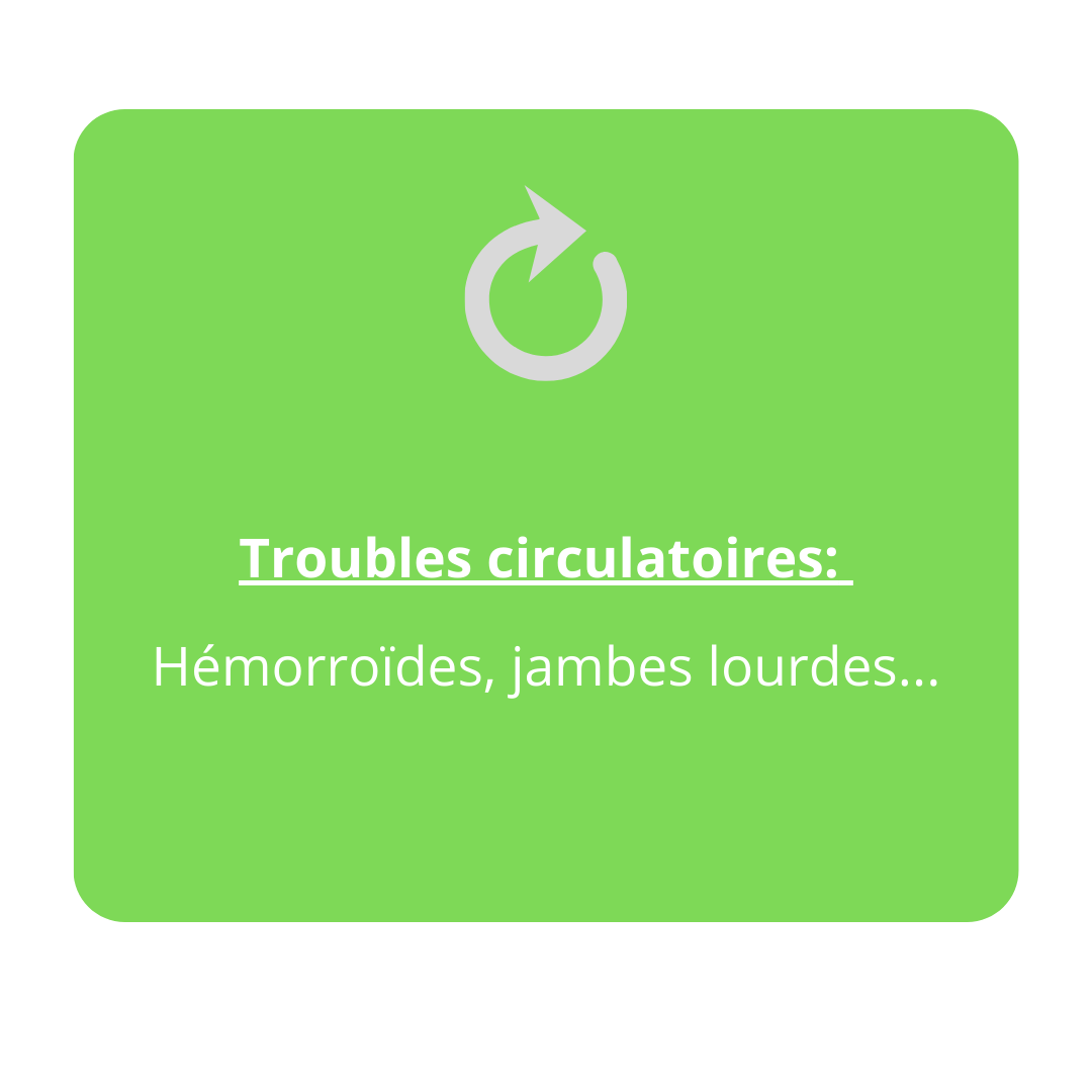 Dominique Theux Lorris magnetisme problemes de circulation lorris loiret montargis gien orléans 45260