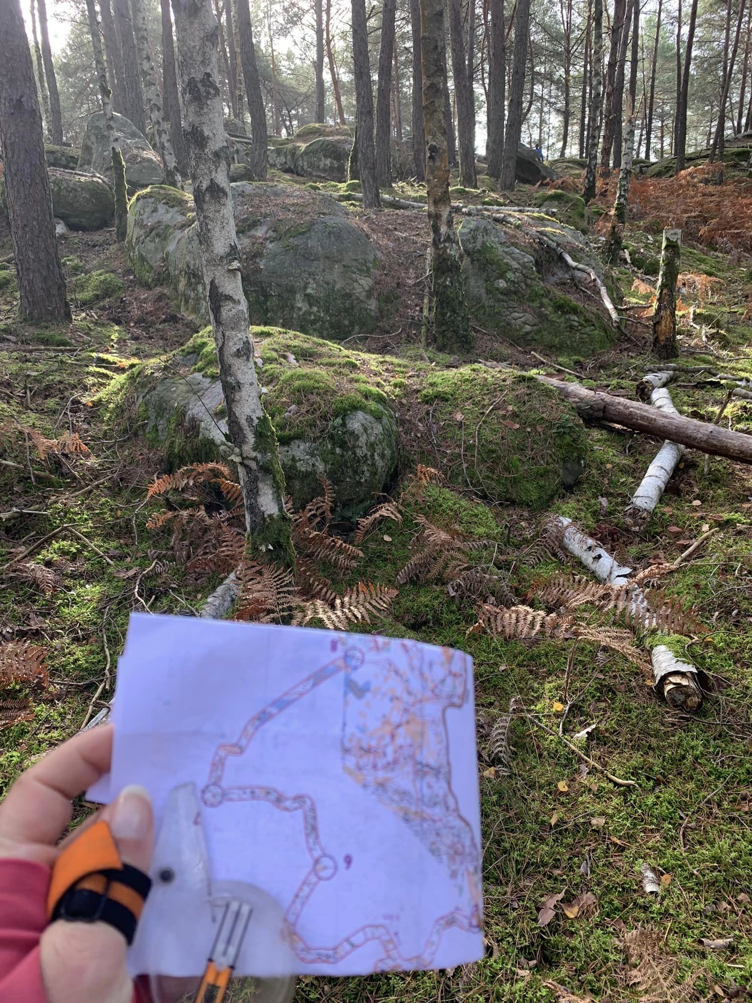 Terrain de course d'orientation