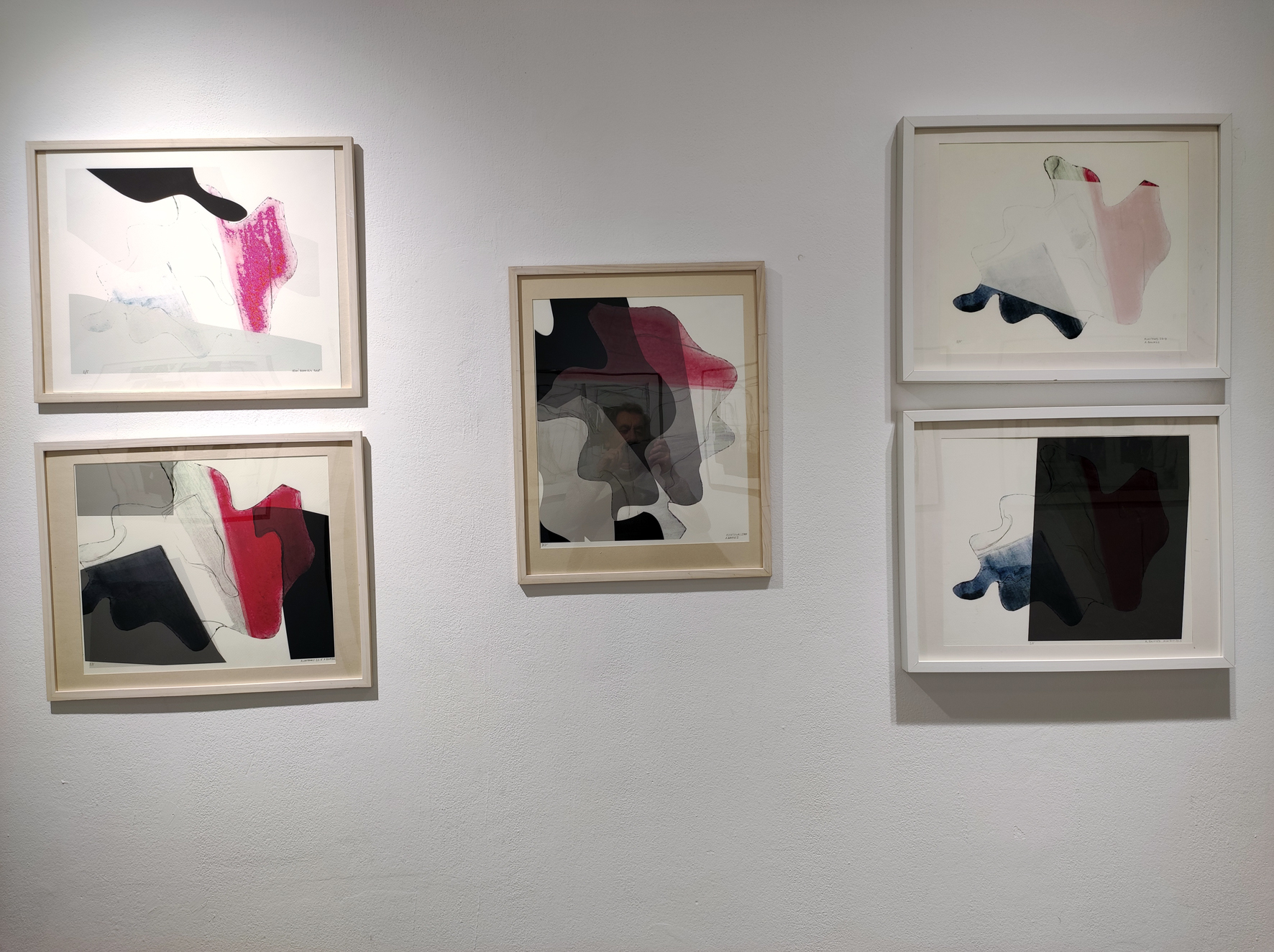 Img 7