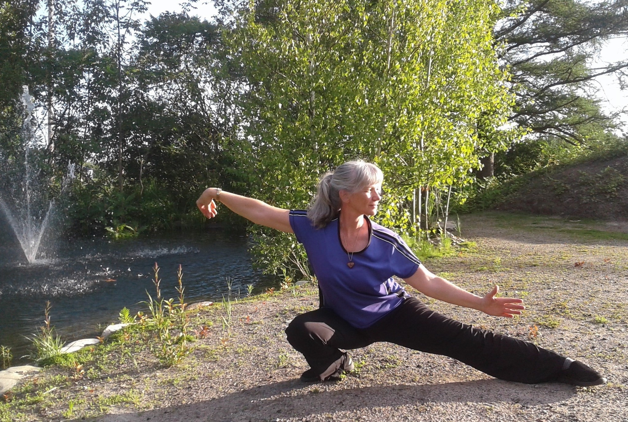taikigong  / Tai-Chi  / Qi gong  / Méditation
