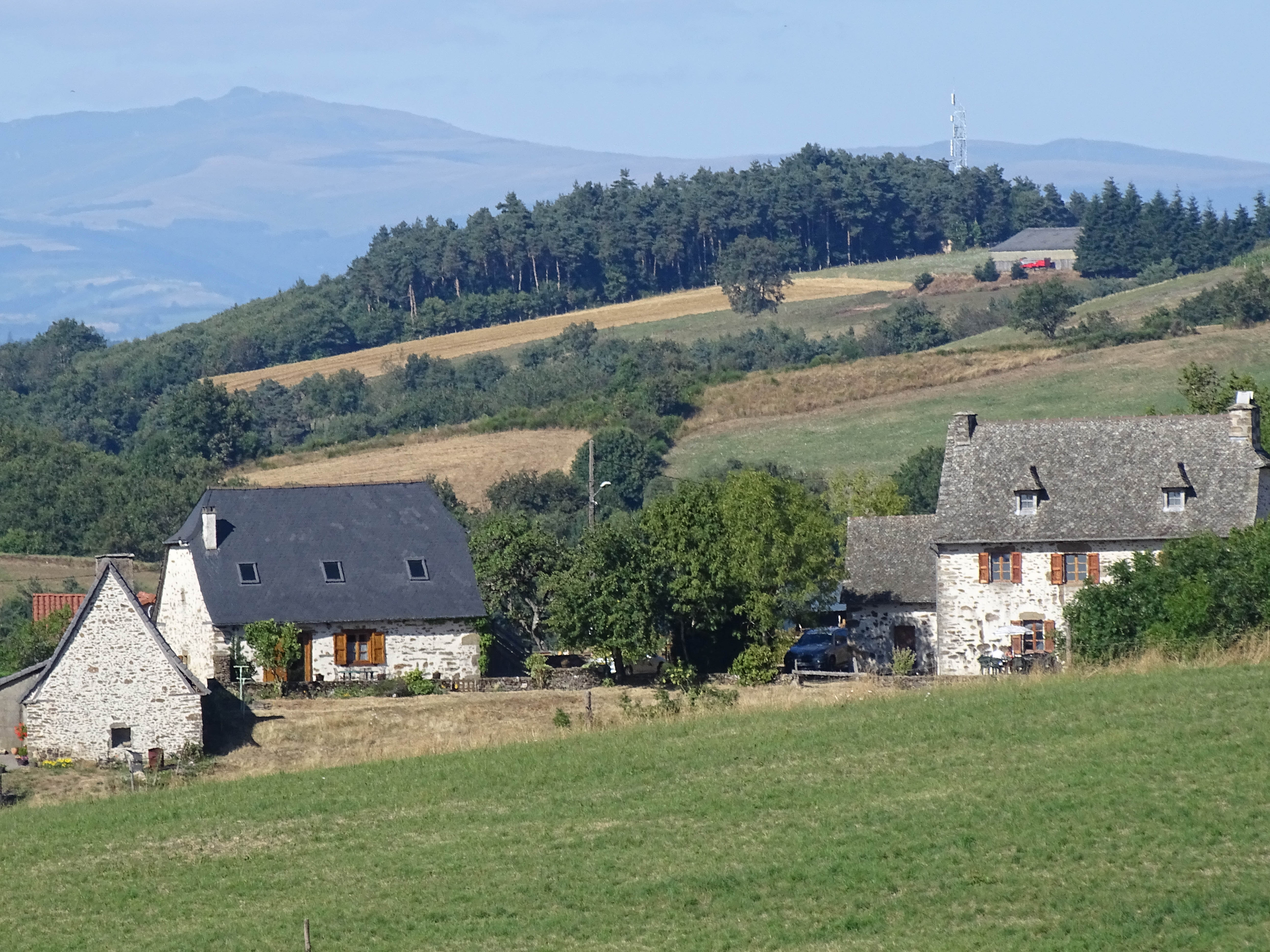 Dsc02719
