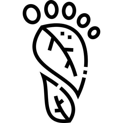 Carbon-footprint
